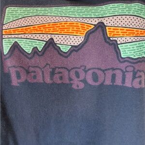 Patagonia Blue Tee with Vibrant Graphic